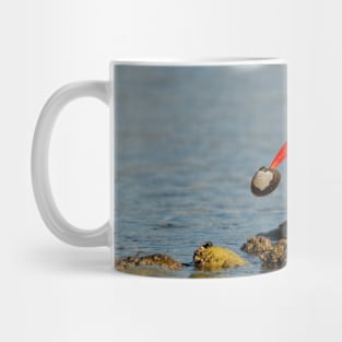 A Clamcatching Black Oystercatcher Mug